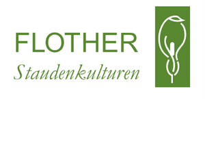 Flother-Staudenkulturen